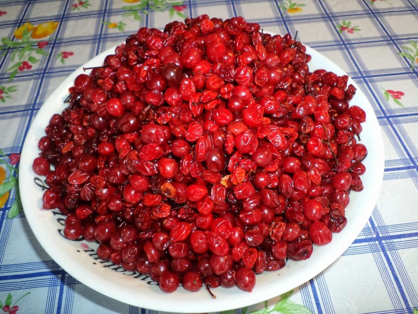 Брусничный Пай