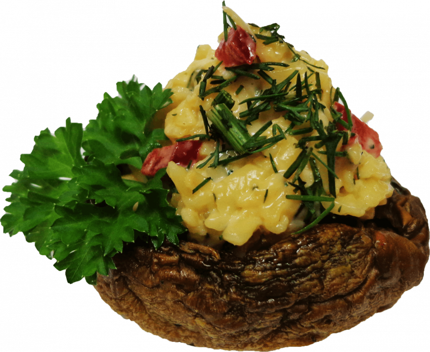 Лесные грибы картинки