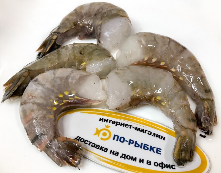 Креветка тигровая 21/25