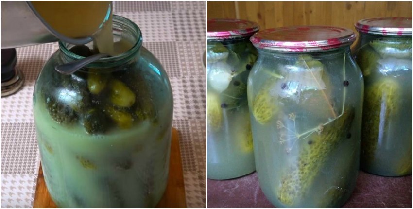 Рассол прозрачный фон