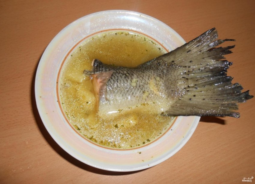 Блюда из головы семги