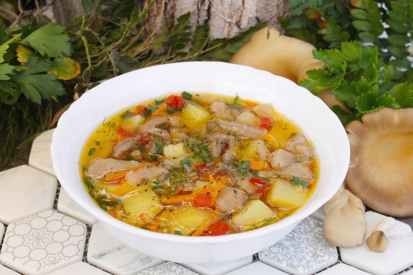 Грибной суп вешенки