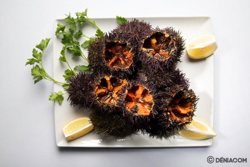 Морские Ежи Камчатка