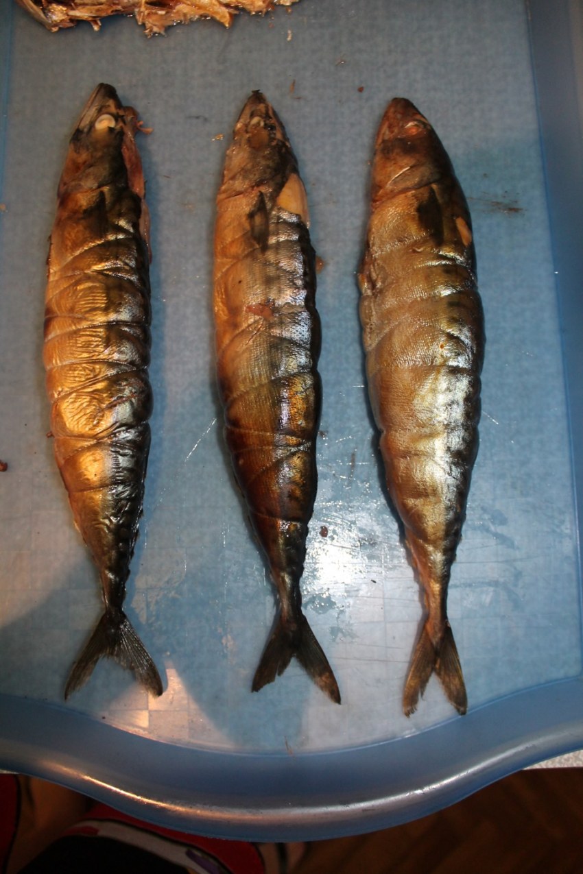 Копчения рыба скумбрия
