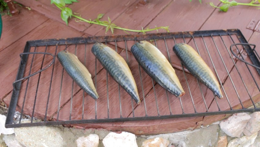 Копченая скумбрия в духовке