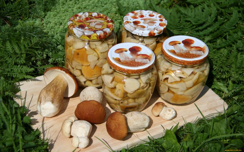 Грибы лисички маринованные