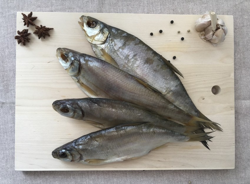 Чехонь морская