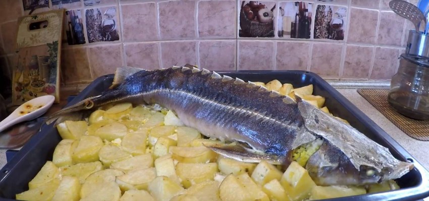 Стерлядь фаршированная