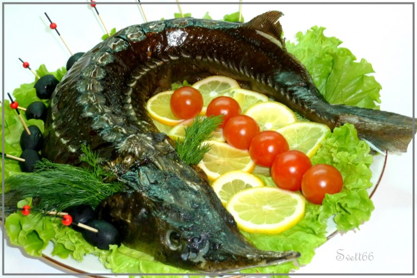 Королевская уха из стерляди