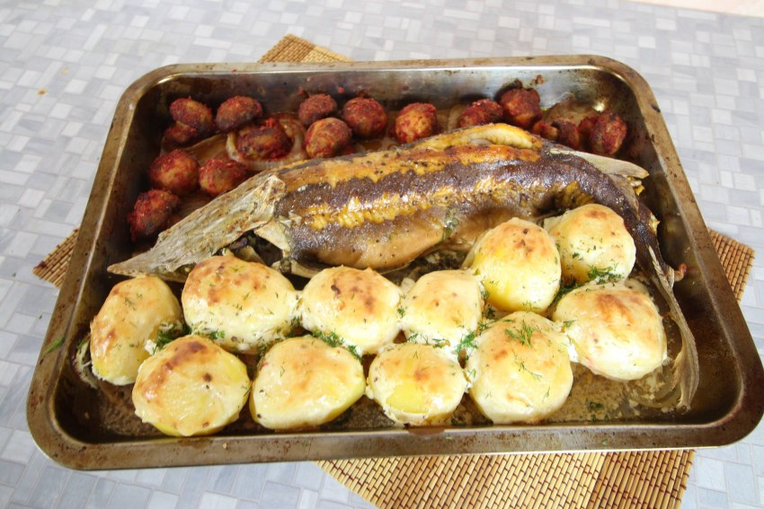 Стерлядь Царская рыба