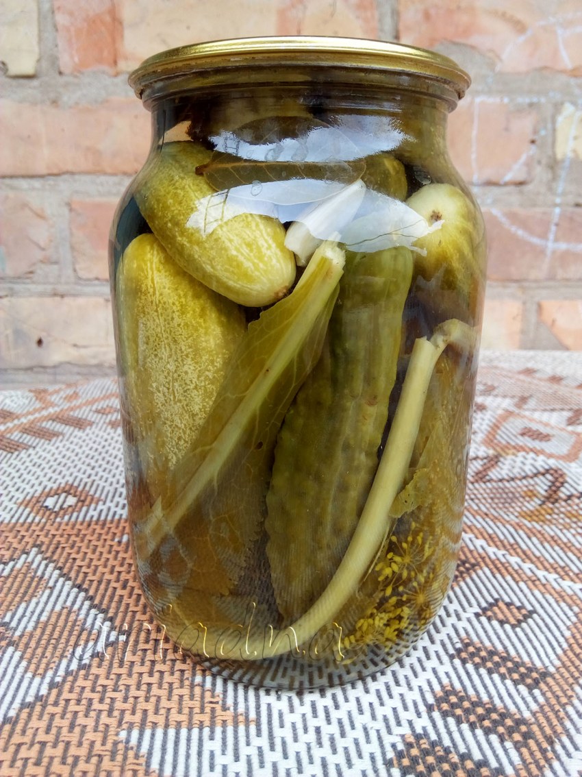 Маринованные огурцы на зиму