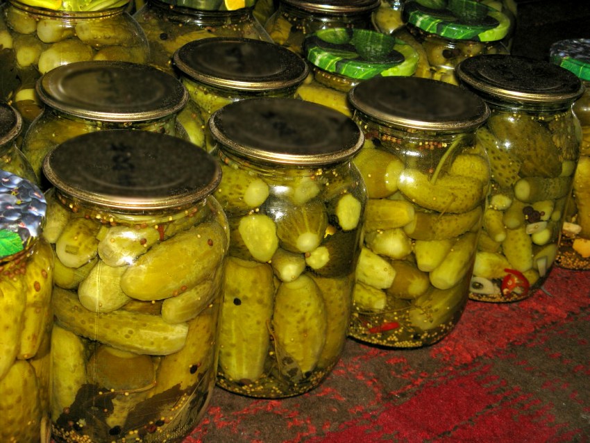 Огурцы для консервирования