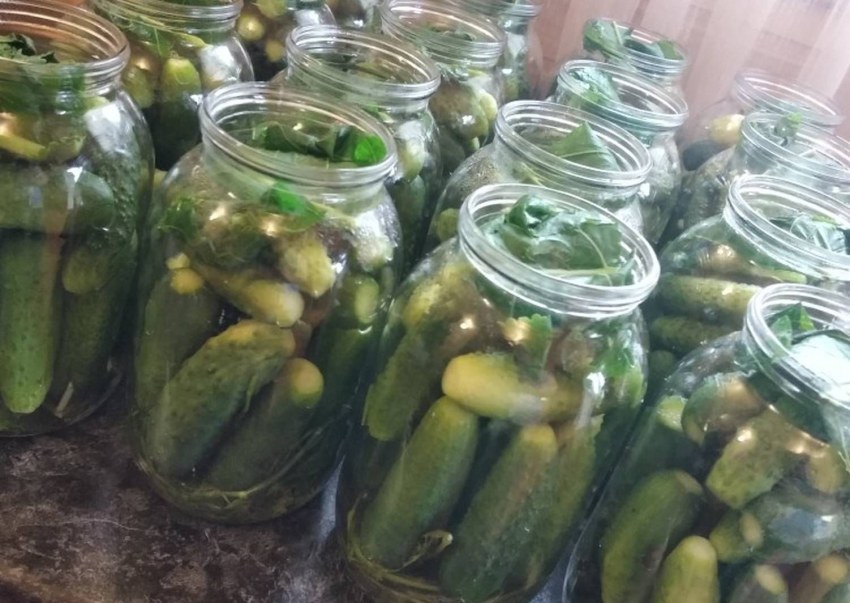 Банки с огурцами
