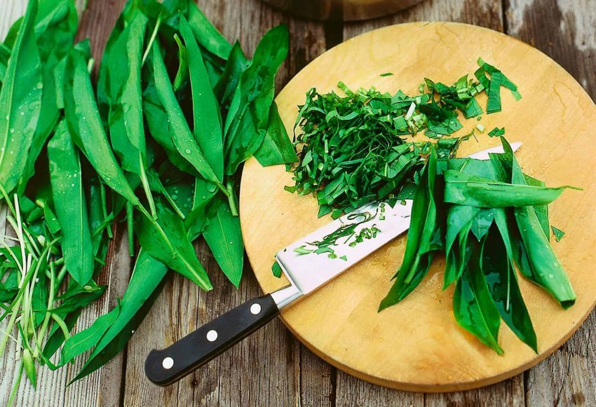 NACHAFT mixture of Herbal