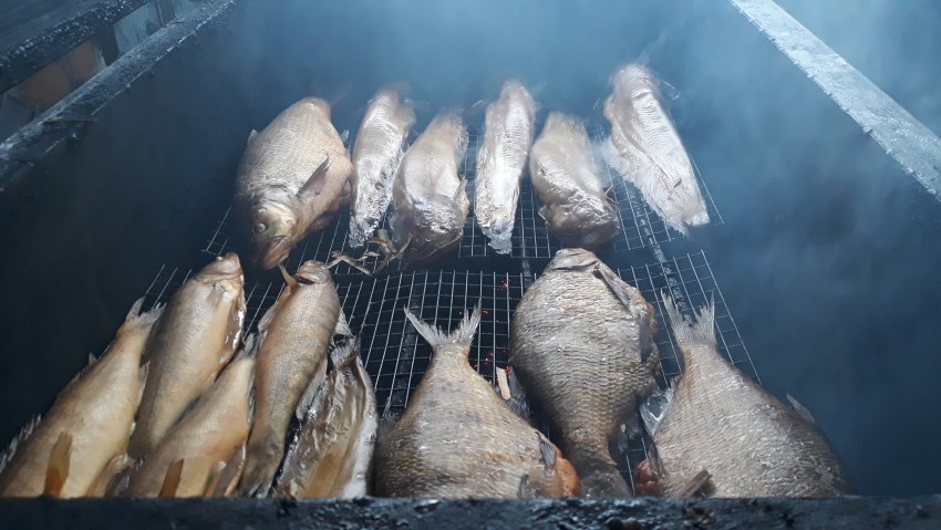 Сорога холодного копчения