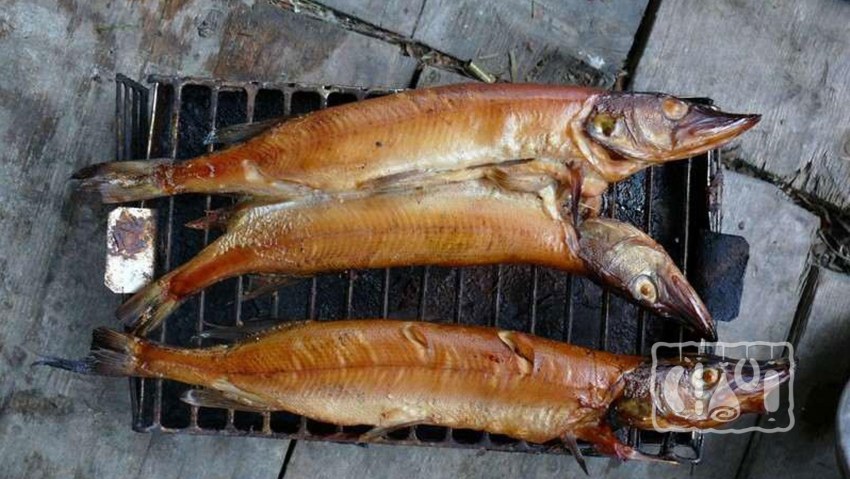 Скумбрия х/к