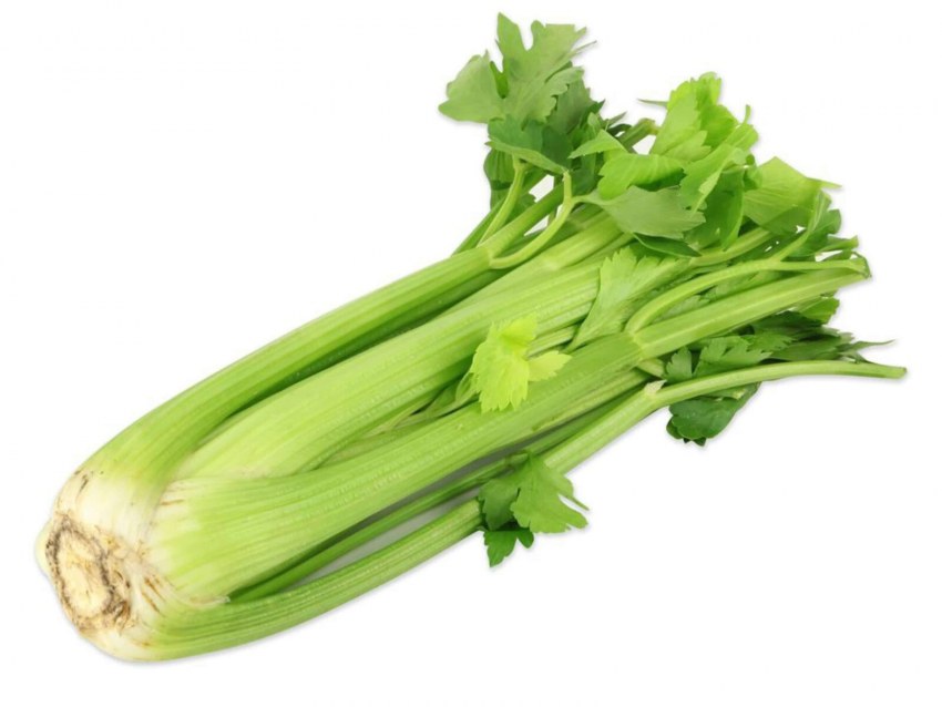 Сельдерей celery