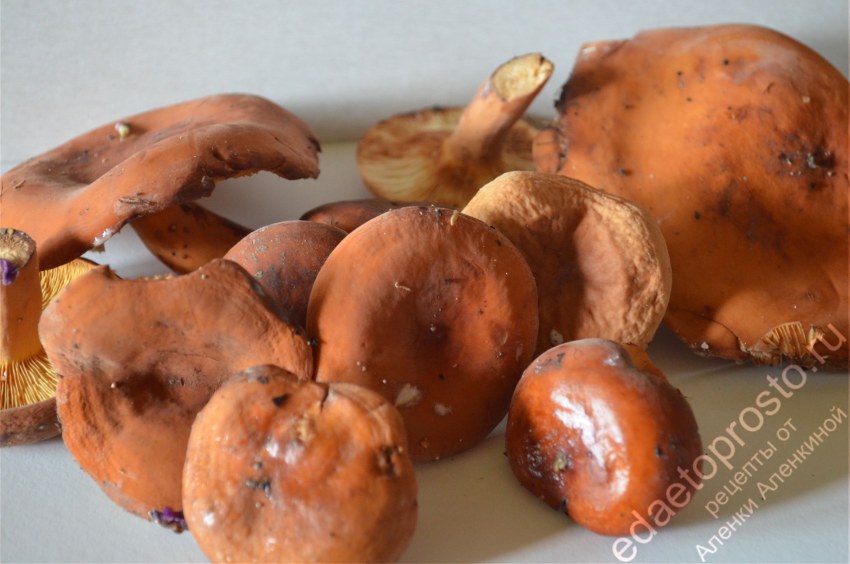 Салат с крабовыми палочками и грибами жареными