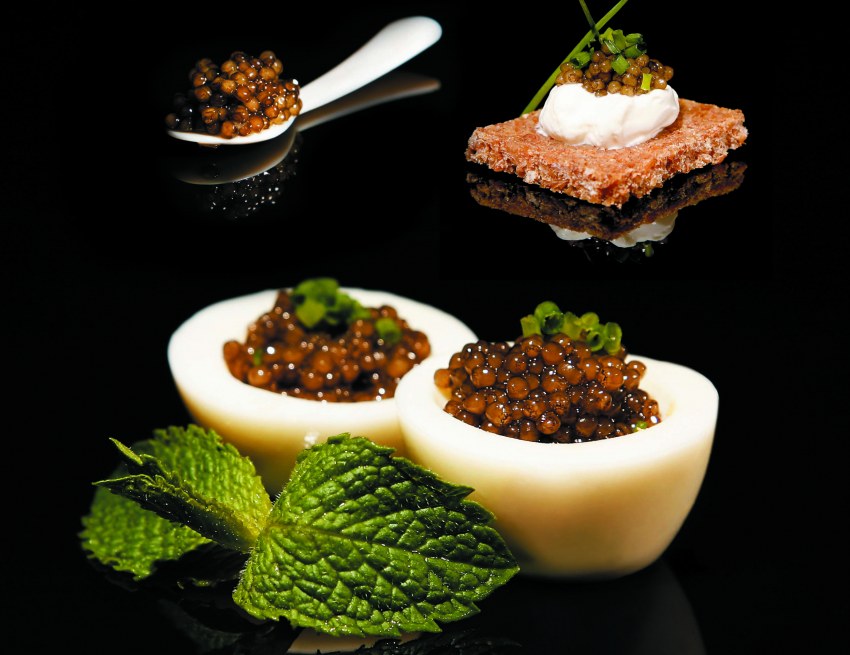 Закуски с красной икрой