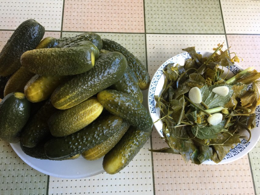 Томатный сок на зиму через мясорубку