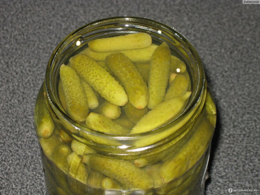 Уборка огурца Пикули,корнишон