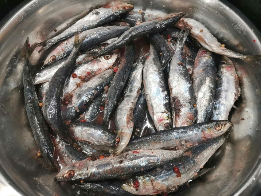 Корюшка рыба копченая