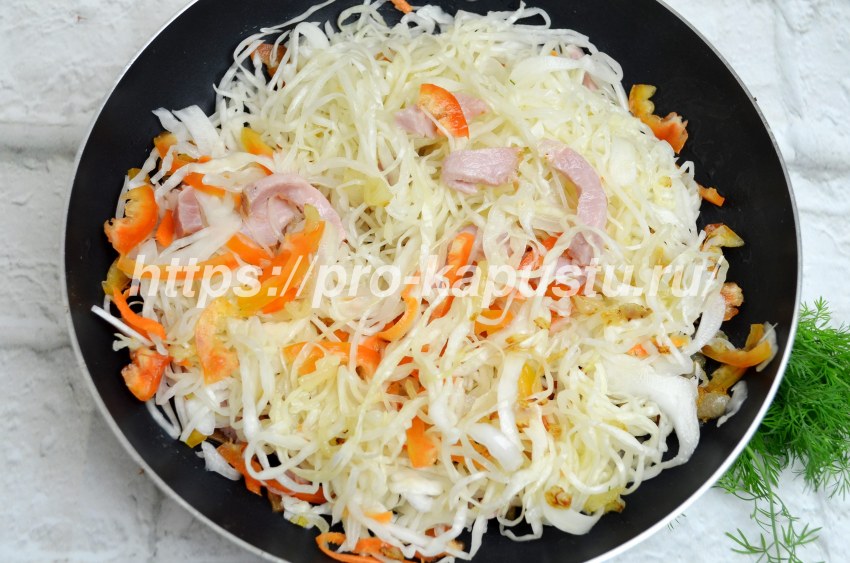 Солянка с квашеной капустой