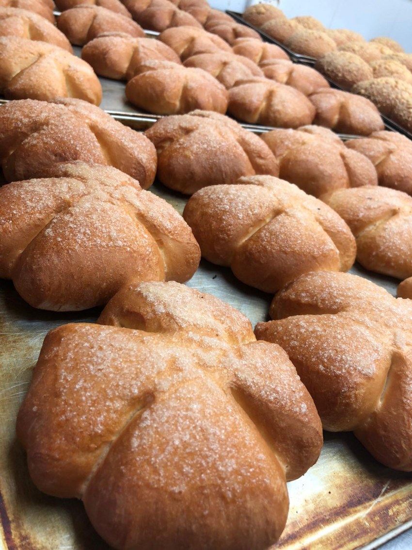 Выпечка булочки