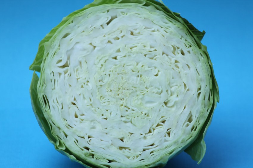 Блюда из капусты белокочанной