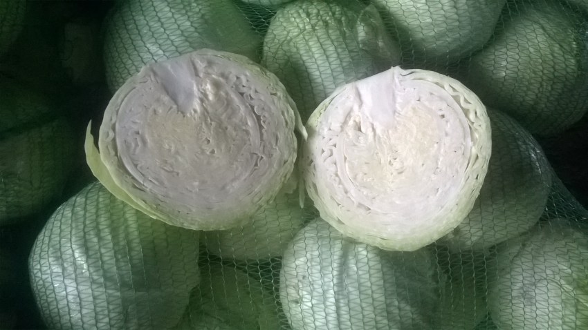 Капуста савойская