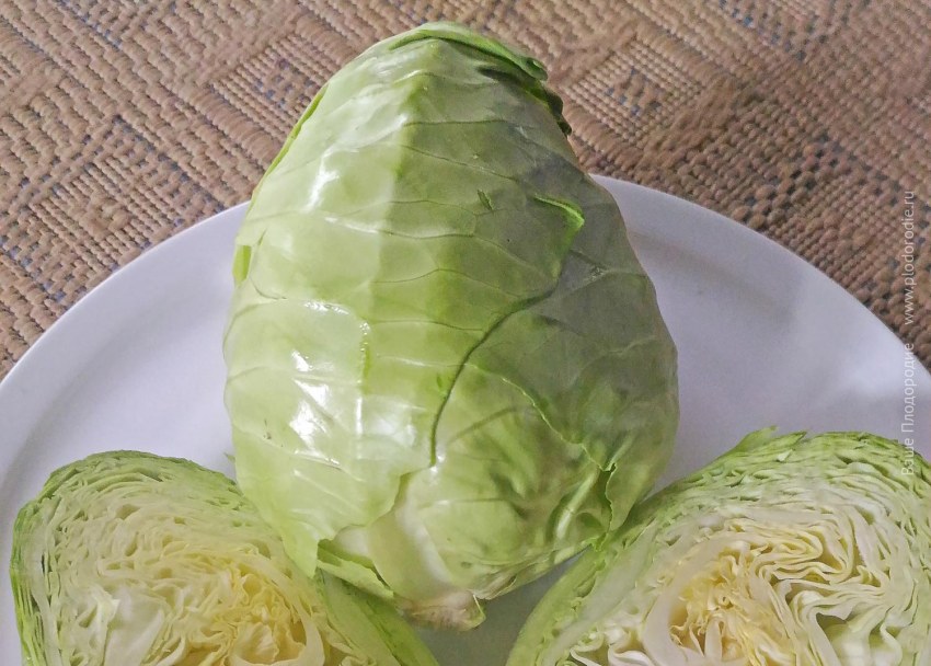 Капуста Мара