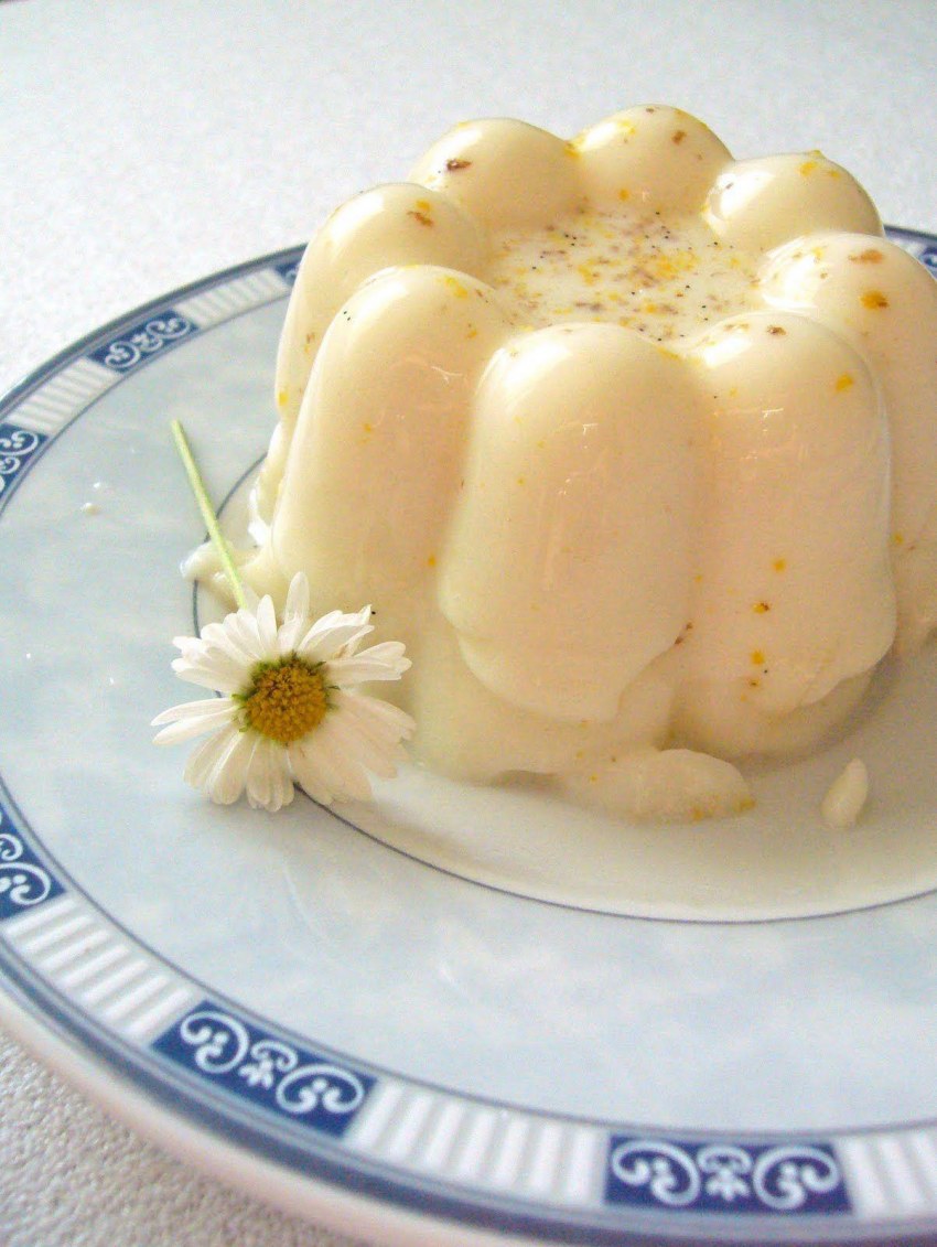 Зефир домашний животные