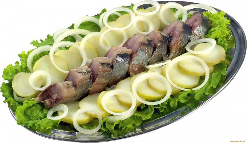 Сельдь и скумбрия