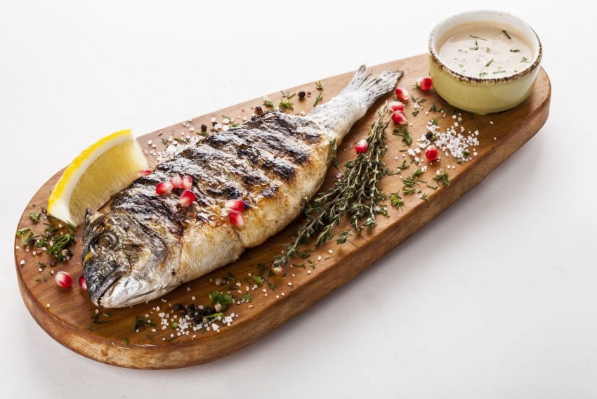 Сибас морской окунь