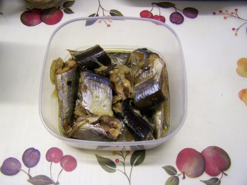 Скумбрия курильская