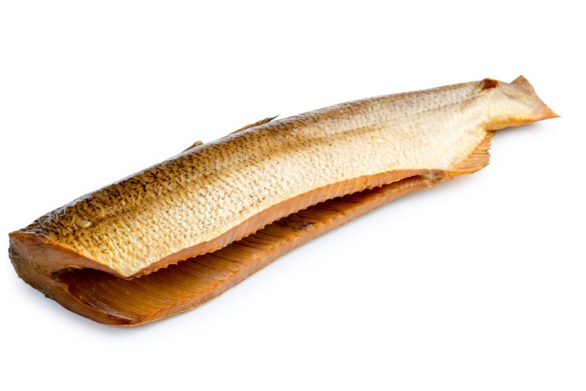 Пелядь, муксун