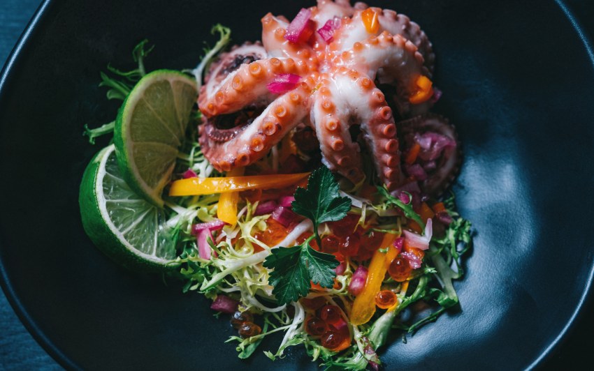 Octopus trading