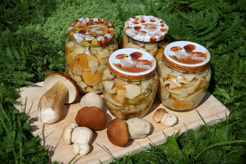 Боровики грибы маринованные