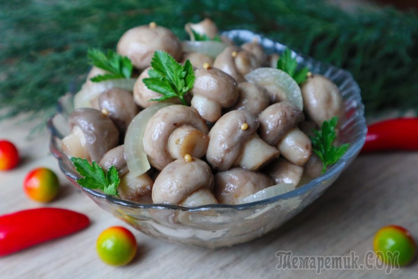 Соленые грибочки