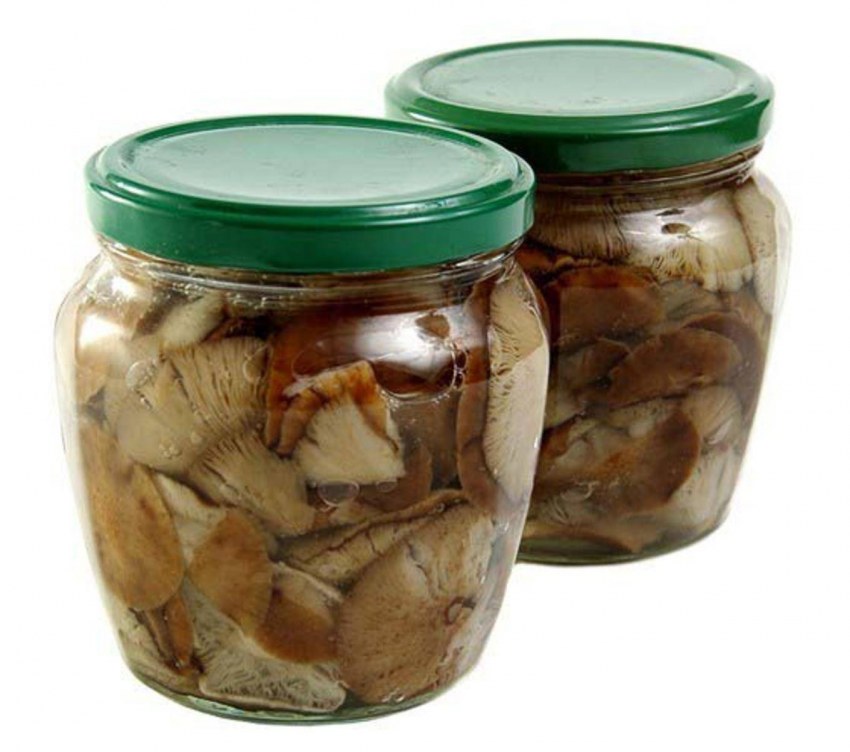 Грибы маринованные опята 550г