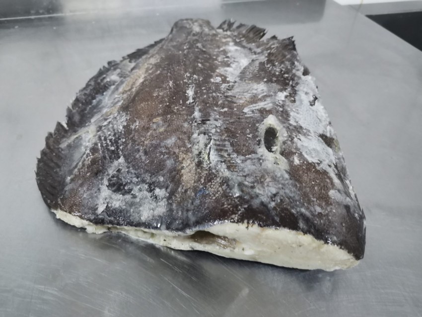Морская рыба с темным мясом
