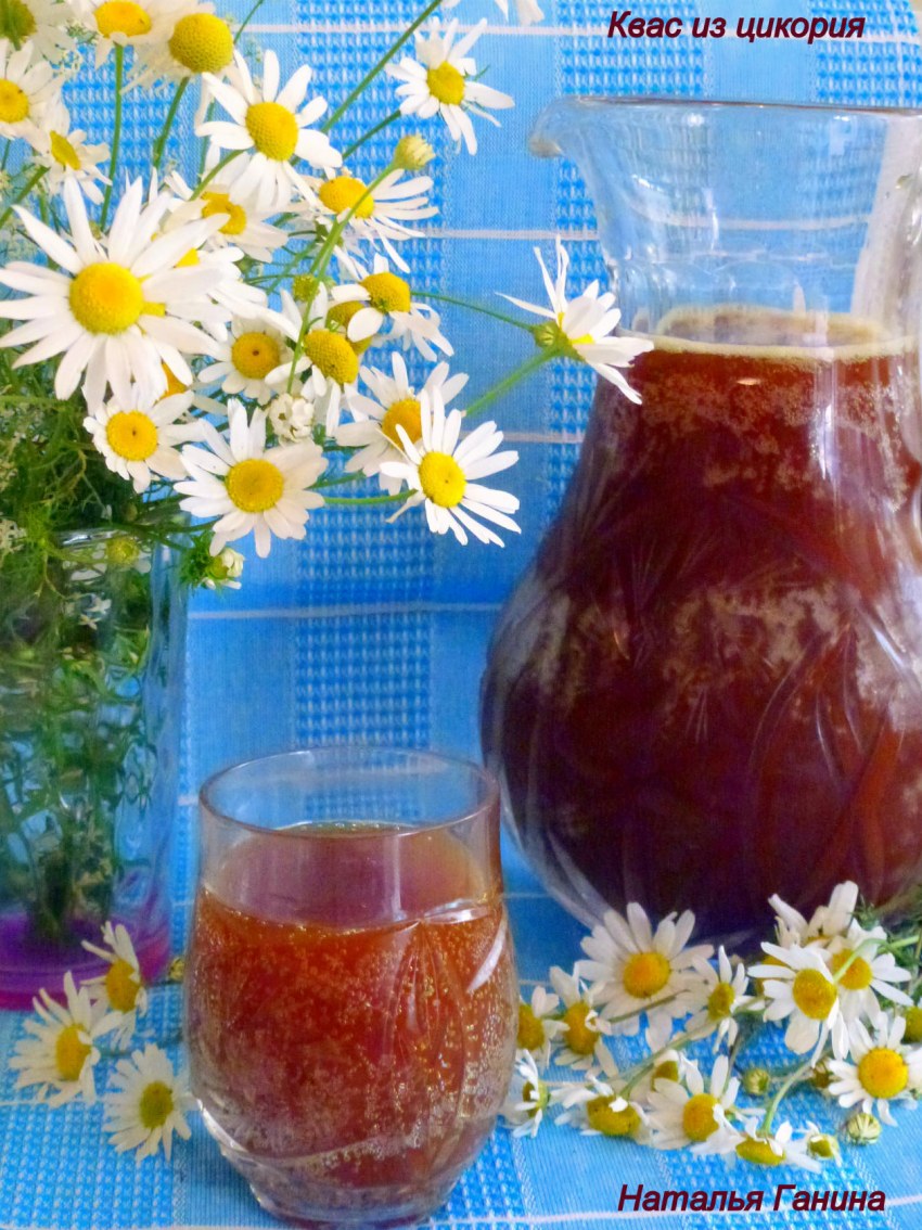 Рецепт кваса из цикория