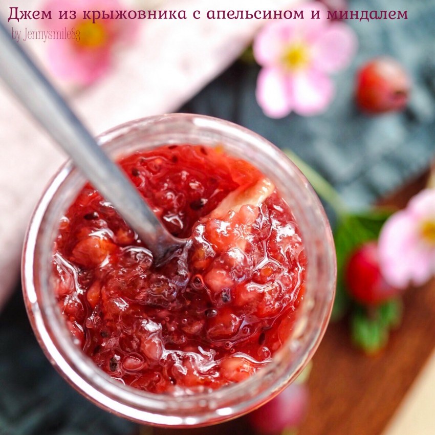 I am Jam Design Label
