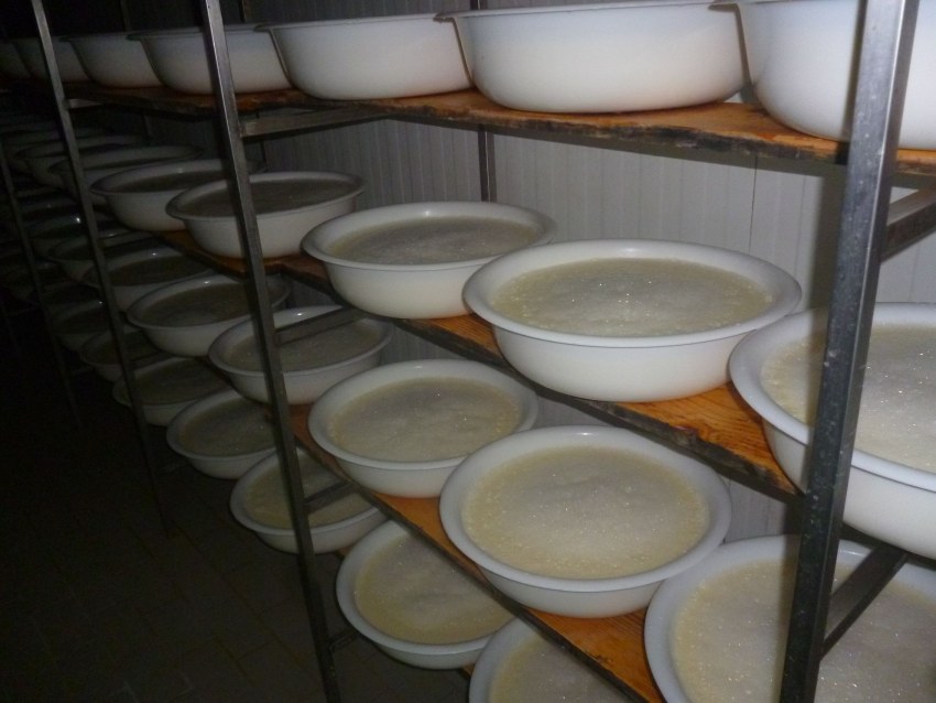 Сыр с каймаком домашний