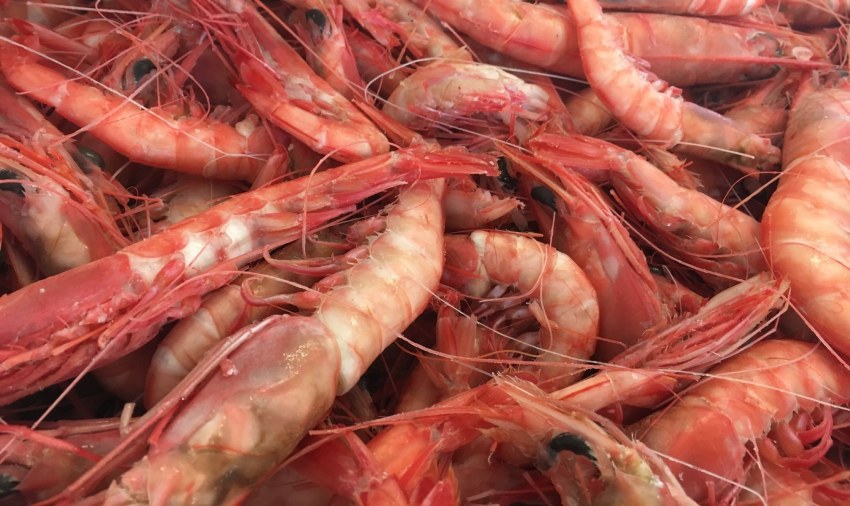 Морепродукт похож на большую креветку