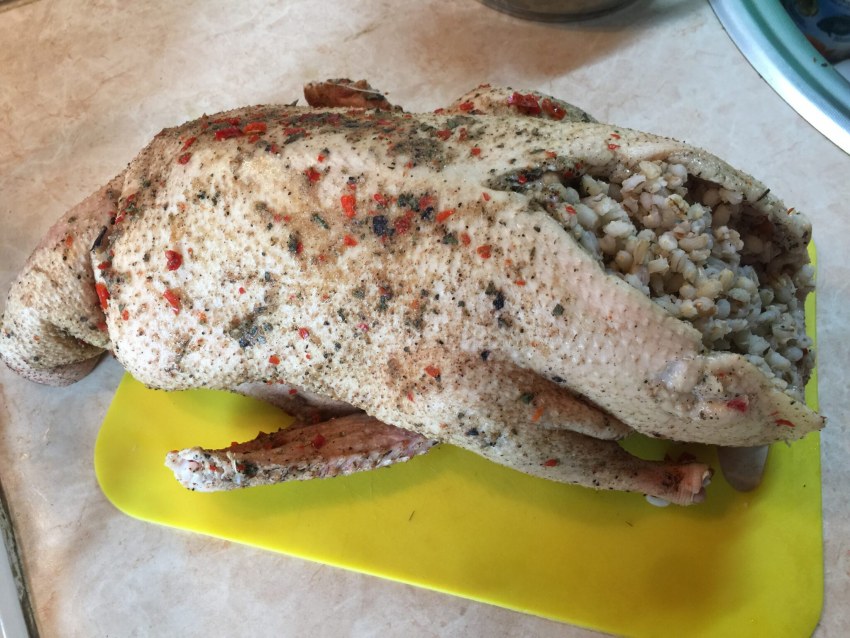 Греча с курой