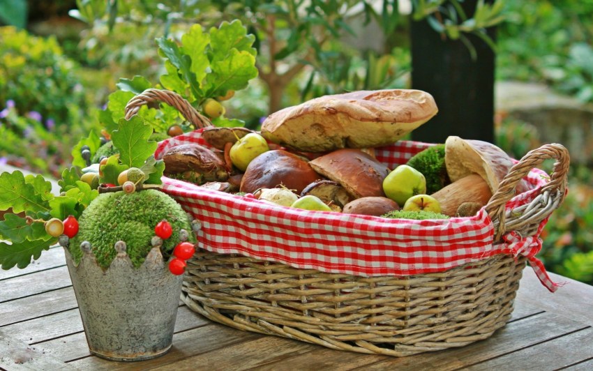 Корзинка с фруктами и грибами