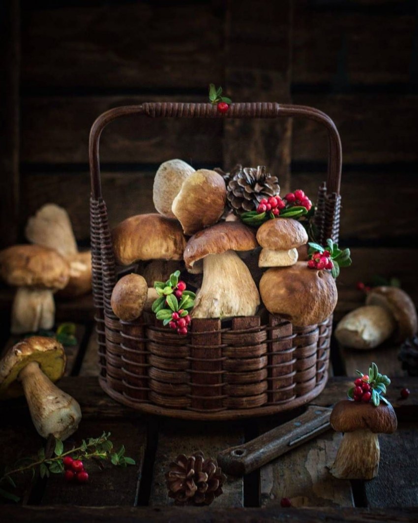 Натюрморт с грибами