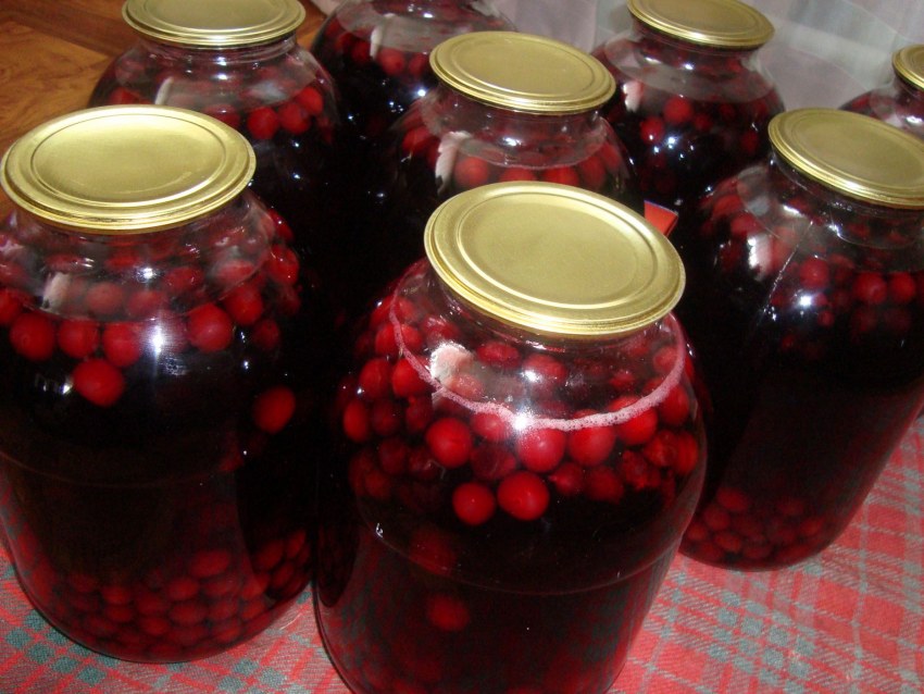 Компот из вишни и смородины
