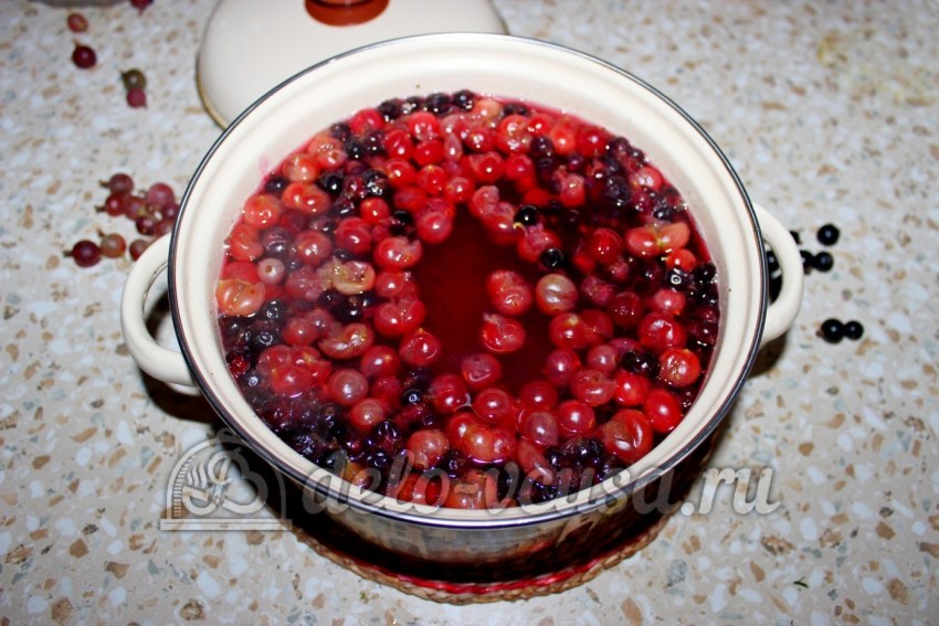 Компот из бузины красной
